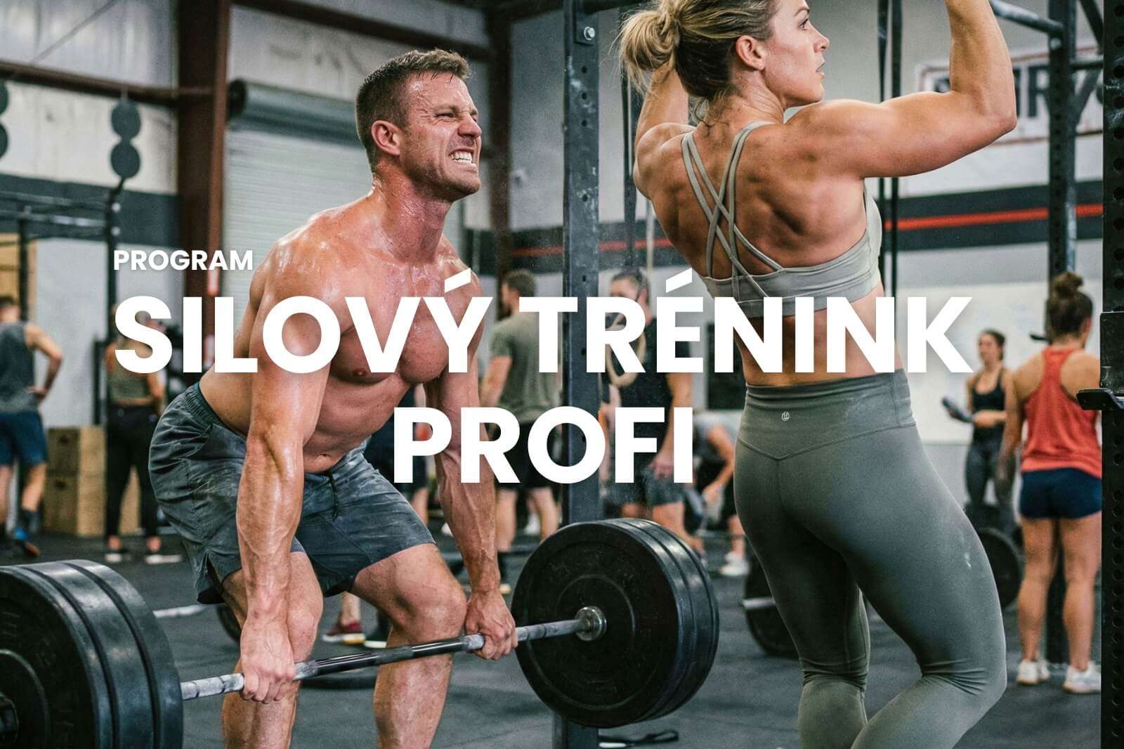 Silový Trénink Profi (1600 X 1066 Px) (1)