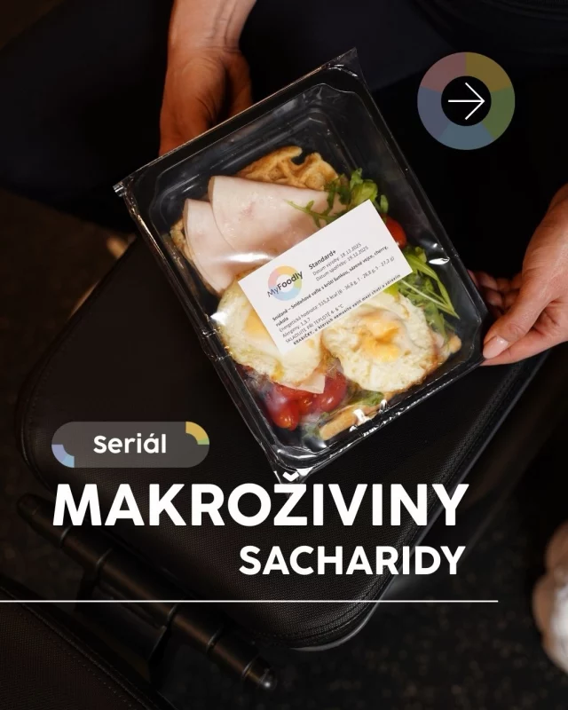 Sacharidy nejsou nepřítel 🍞

Jsou to palivo pro mozek, svaly i výkon.
Problém není v sacharidech, ale v jejich kvalitě a množství.
👉 MyFoodly krabičky mají makrožiny pod tvojí kontrolou.